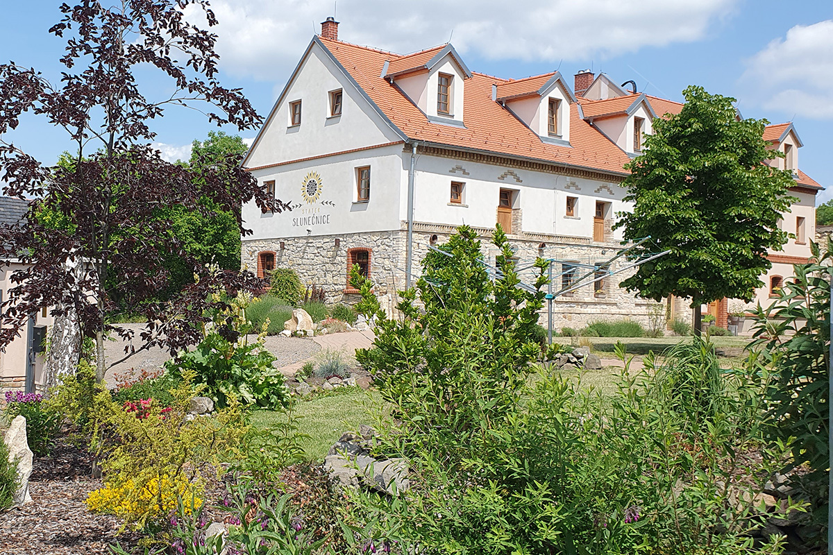Slunečnice - pobyty - 1